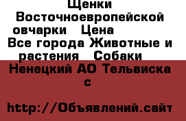 Щенки Восточноевропейской овчарки › Цена ­ 25 000 - Все города Животные и растения » Собаки   . Ненецкий АО,Тельвиска с.